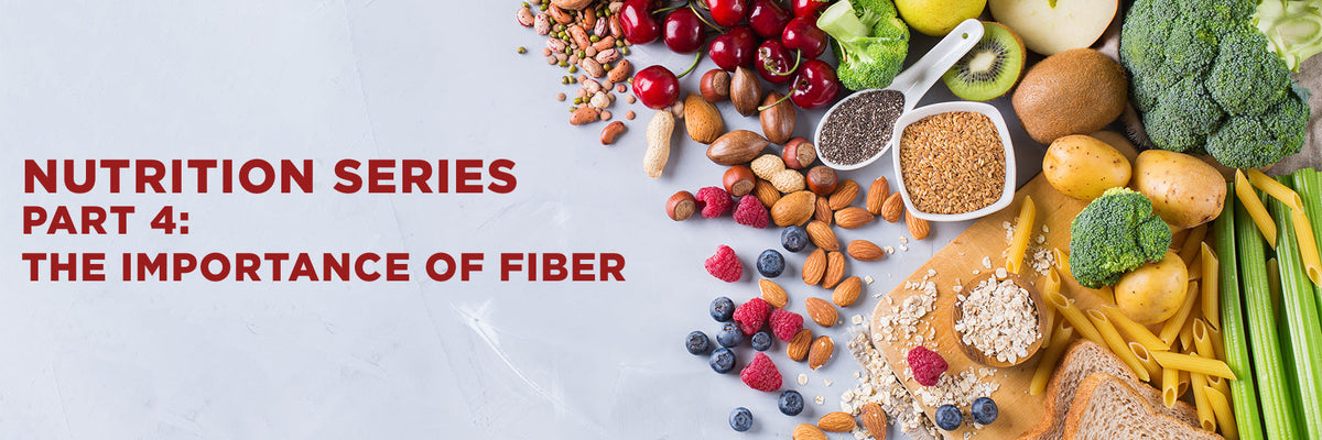 Nutrition Series, Part 4: The Importance of Fiber