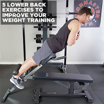 5 Must-Do Lower Back Exercises to Build Strength and Stability